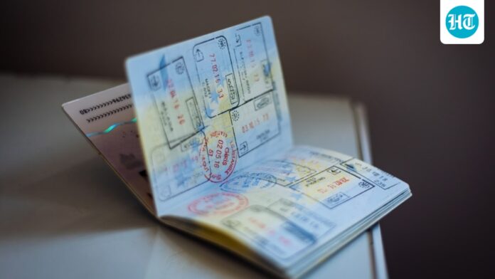 H1-B visa reality check: Laid-off techie reveals how a ‘blessing’ turned into ‘disaster’