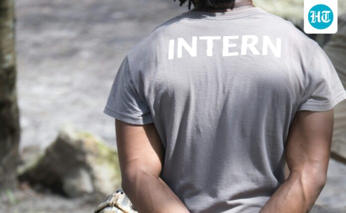 Indian founder looks for intern for ‘11 am to 11 Indian founder looks for intern for ‘11 am to 11 pm’ schedule for ₹1 lakh stipend in Bengaluru