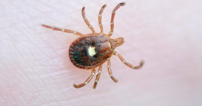 1st death linked to alpha-gal syndrome, a meat allergy spread 1st death linked to alpha-gal syndrome, a meat allergy spread by ticks, reported in N.J., researchers say