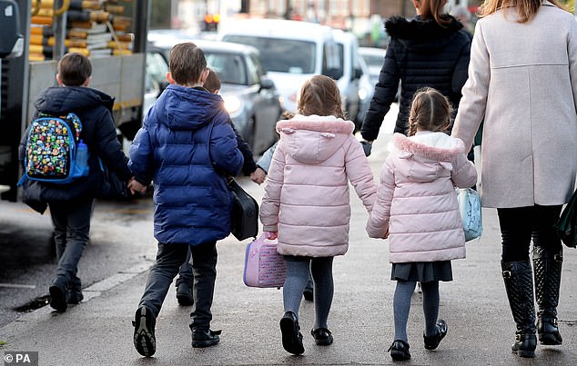 Britain's biggest jobless families in line for taxpayer-funded windfalls worth Critics of the two-child cap say it penalises children unfairly (file photo)