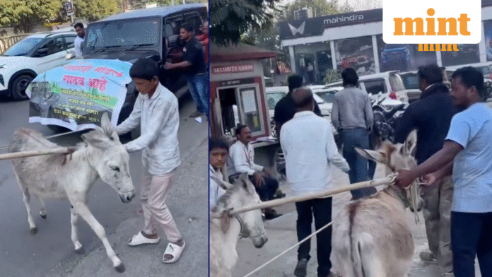 Pune news: Donkeys pull Thar in unusual protest; netizens demand Pune news: Donkeys pull Thar in unusual protest; netizens demand answers from Anand Mahindra