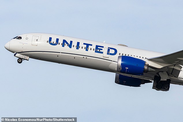 US air stewardess, 56, was TEN times the alcohol limit A United Airlines stewardess was 10 times the legal limit to fly after downing vodka on a transatlantic jet, a court heard (file image)